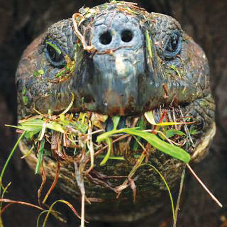 zoo-1.jpg